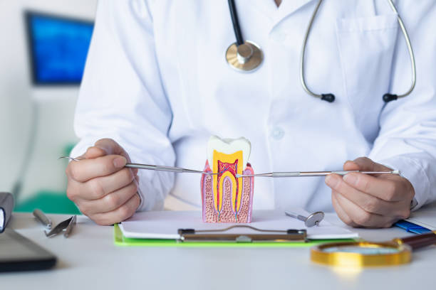 Best Emergency Treatment for Oral Infections in Stratford Downtown, CT